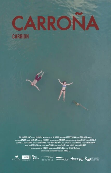 Постер Carrion 2016