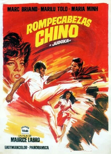 Постер Casse-tête chinois pour le judoka