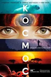 Космос: Пространство и время 2014 постер