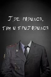 Где родился, там и пригодился 2014 постер