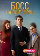 Босс на одну ночь постер