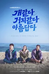 Красивое и уродливое 2019 постер