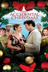 Случайное Рождество 2007 постер