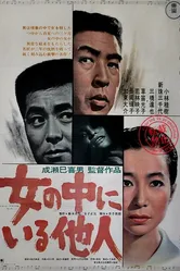 Незнакомец внутри женщины 1966 постер
