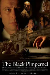 Черная гвоздика 2007 постер