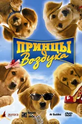 Принцы воздуха 2006 постер