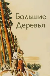 Большие деревья 1951 постер