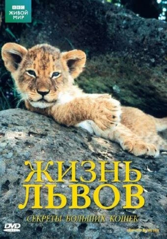 Постер BBC: Жизнь львов 2000