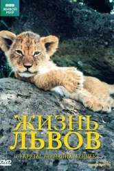 BBC: Жизнь львов 2000 постер
