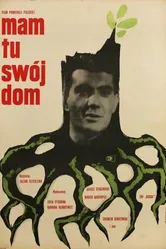 Старая вражда 1963 постер