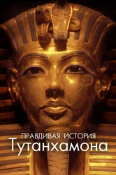 Правдивая история Тутанхамона 2022 постер
