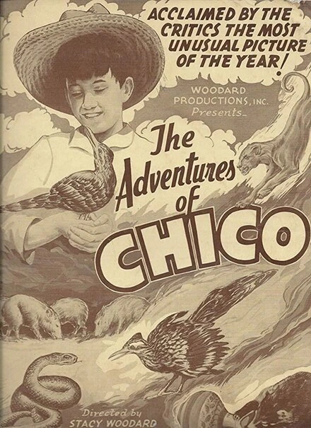 Постер The Adventures of Chico