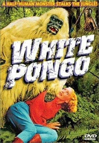 Постер White Pongo