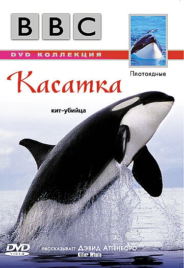 Постер BBC: Касатка 2003