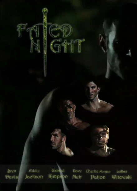 Постер Fated Night