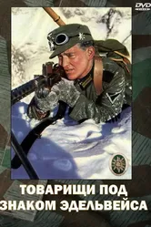 Товарищи под знаком «Эдельвейса» 1943 постер