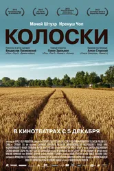 Колоски 2012 постер
