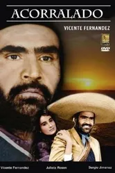 Acorralado постер