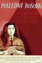 Последняя ведьма 1957 постер