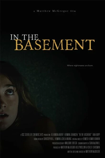 Постер In the Basement 2015