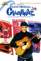 Пикник у моря 1967 постер