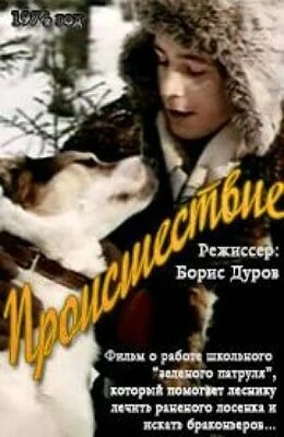 Постер Происшествие 1974, СССР