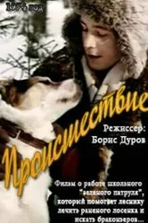 Происшествие 1974, СССР постер