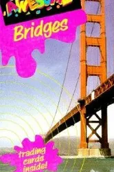Bridges 1992 постер