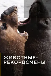 Животные-рекордсмены 2013 постер