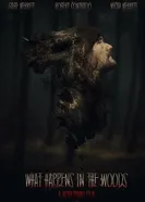 What Happens in the Woods постер