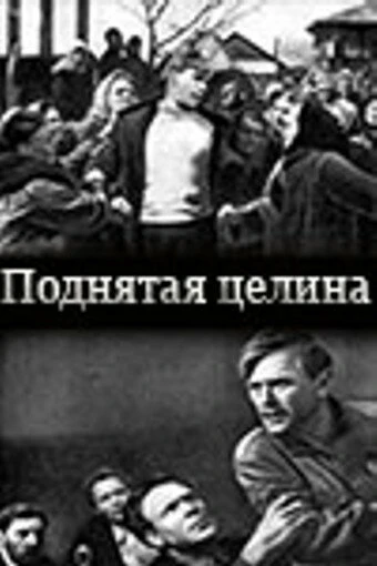 Постер Поднятая целина 1940