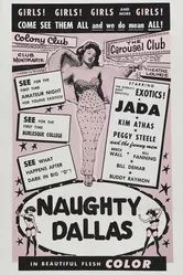 Naughty Dallas постер
