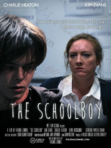 Постер The Schoolboy