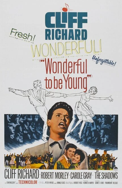 Постер The Young Ones