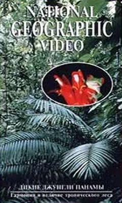 Постер НГО: Дикие джунгли Панамы 1996