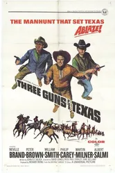 Three Guns for Texas постер