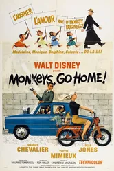 Мартышки, убирайтесь вон! 1967 постер