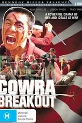 Побег из Ковры 1984 постер