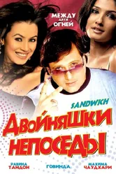 Двойняшки непоседы 2006 постер