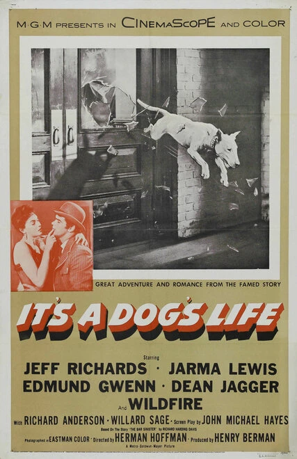 Постер It's a Dog's Life 1955