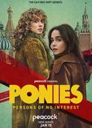 Пони постер