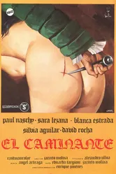 Странник 1979 постер