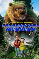 Как приручить медведя 2011 постер