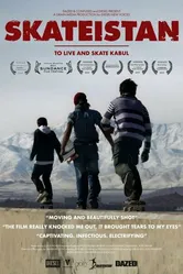 Скейтистан 2011 постер