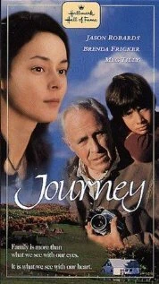Постер Джорни 1995