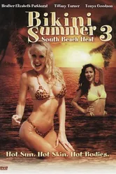 Лето бикини 3: Жара на южном пляже 1997 постер