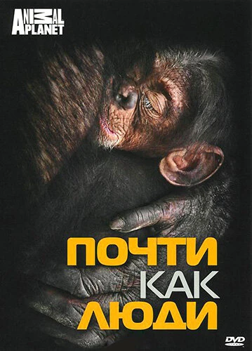 Постер Discovery: Почти как люди 2007