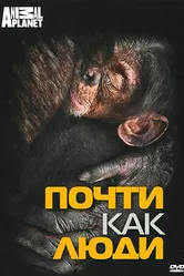 Discovery: Почти как люди 2007 постер