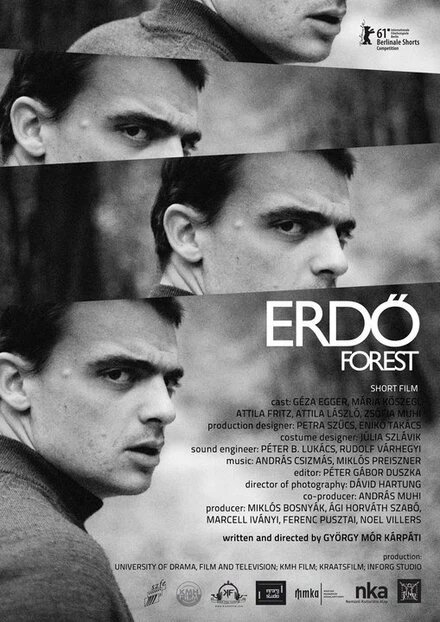 Постер Лес 2011
