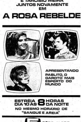 Мятежная Роза 1969 постер